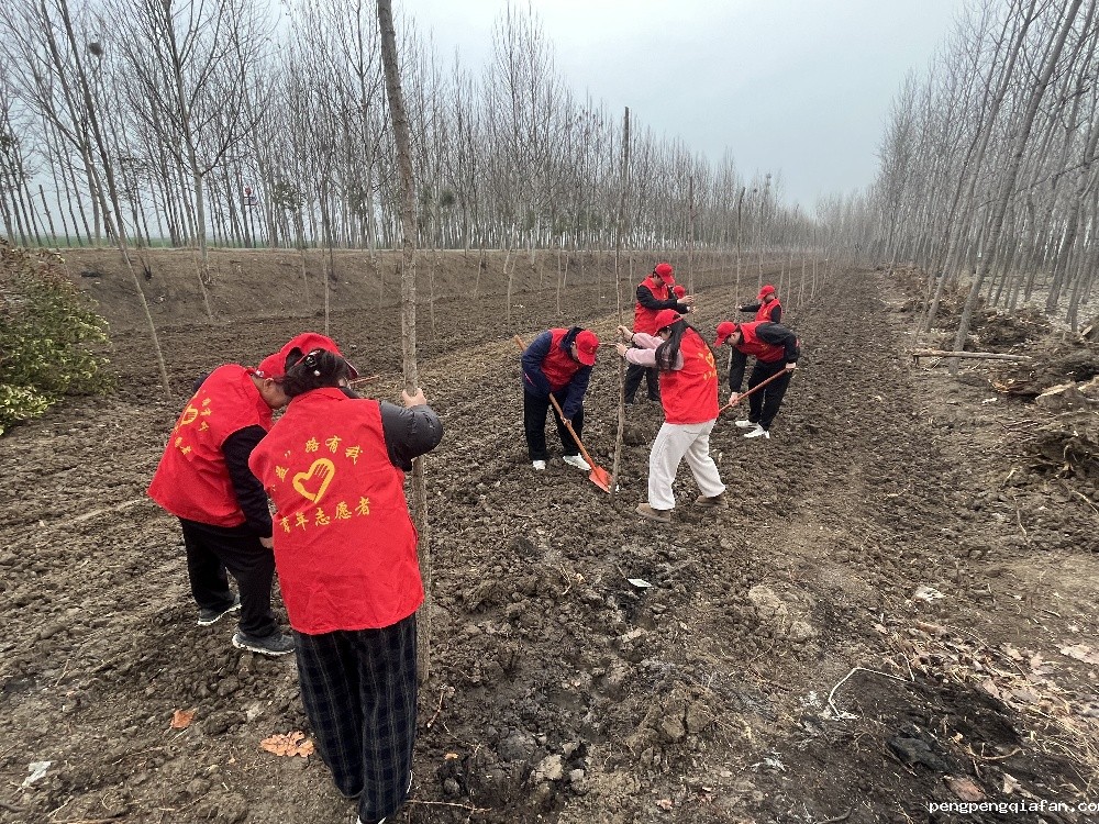 3 五蒙高速TJ-05标开展志愿植树活动.jpg