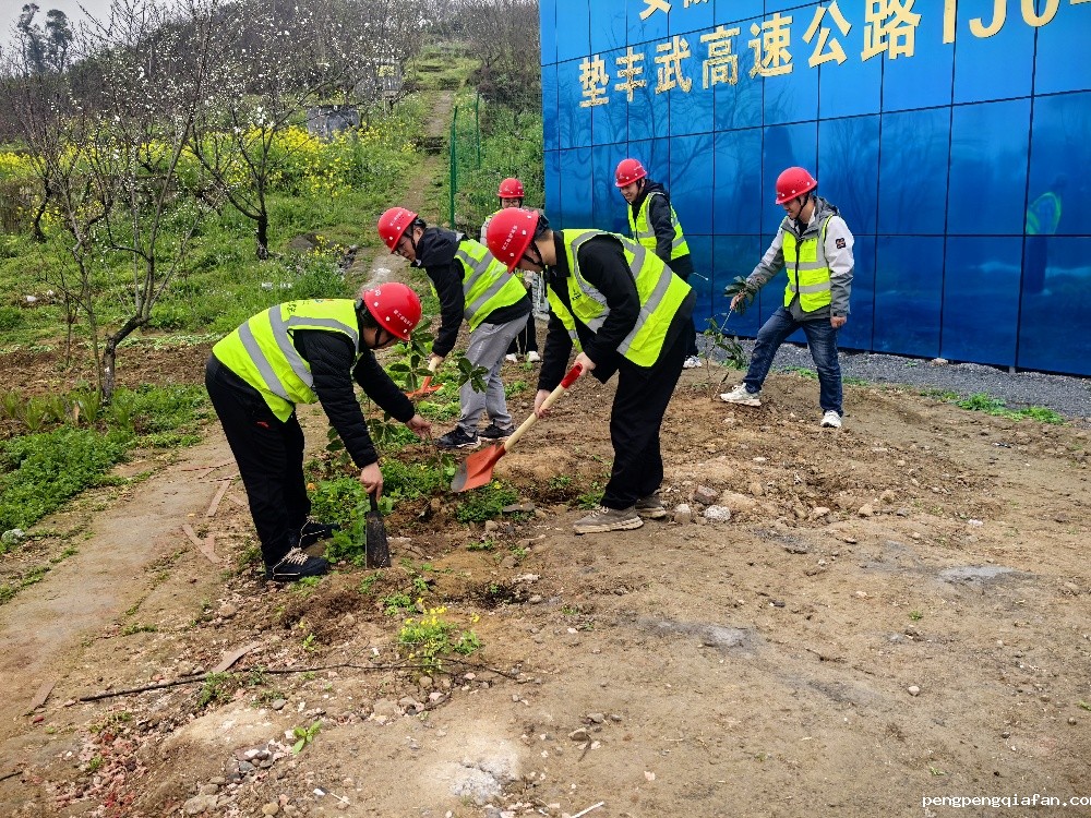 3重庆垫丰武高速04标开展志愿植树活动.jpg