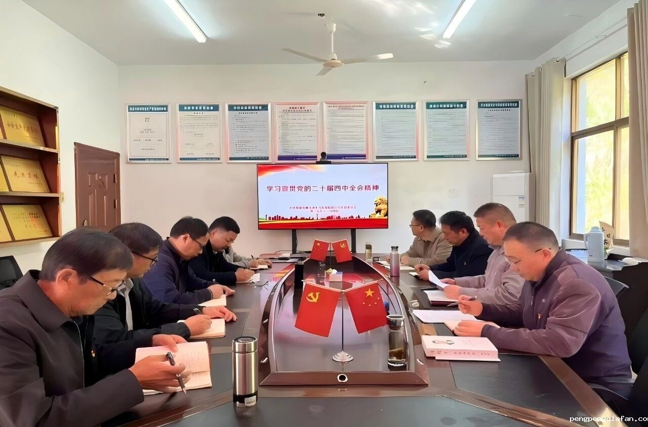 1763512793349030.jpg 3.jpg